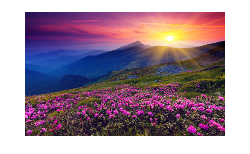 beautiful mountain scene